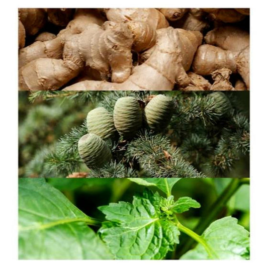 Calvin Klein CK Euphoria for Men 50ml EDT & 100ml Body Wash Gift Set