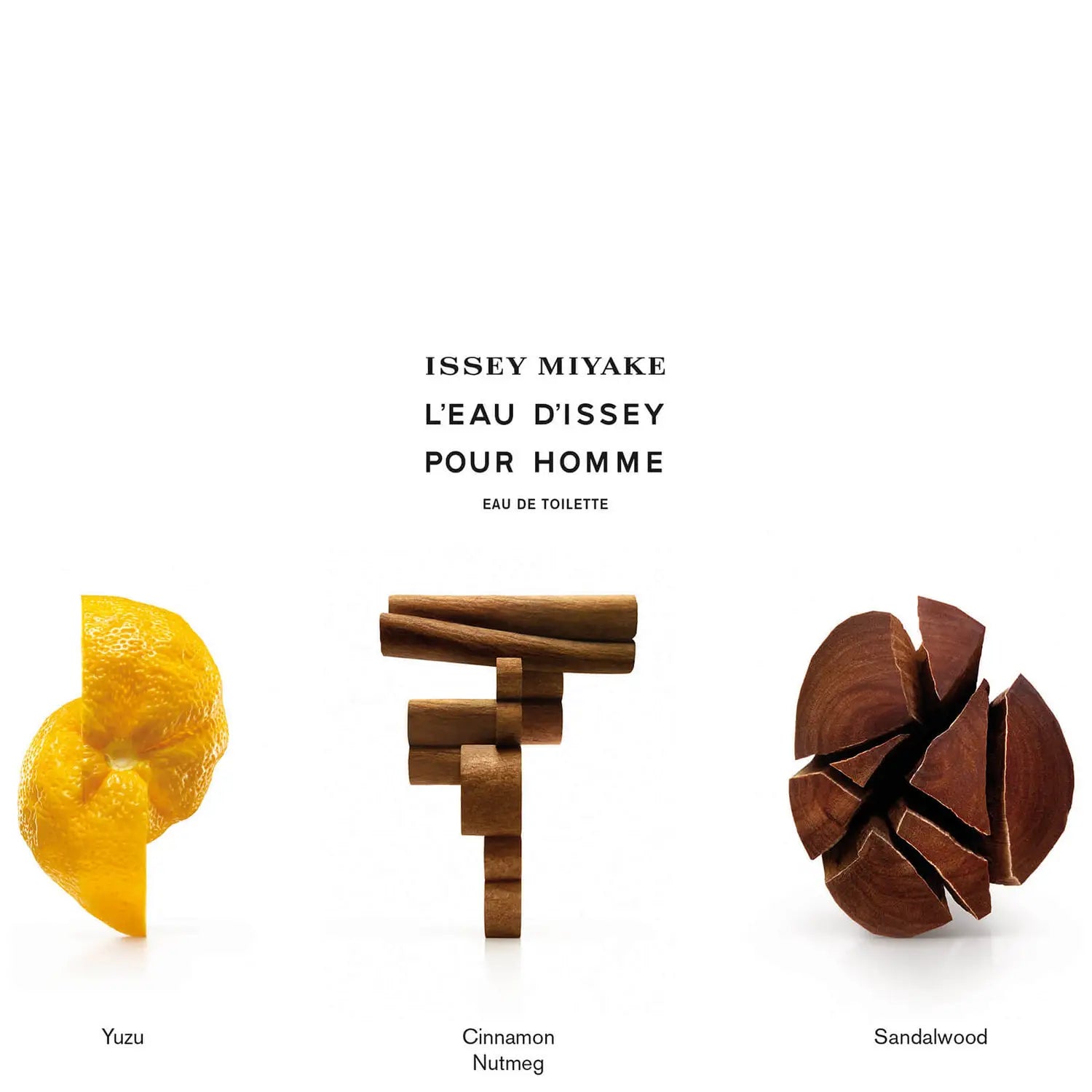 Issey Miyake L'Eau D'issey Pour Homme Eau De Toilette For Men