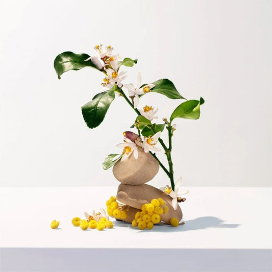 Roger & Galet Neroli Body Lotion 250ml